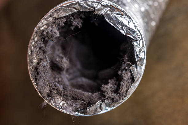 Best Air Duct Mold Removal  in Walnut Creek, CA
